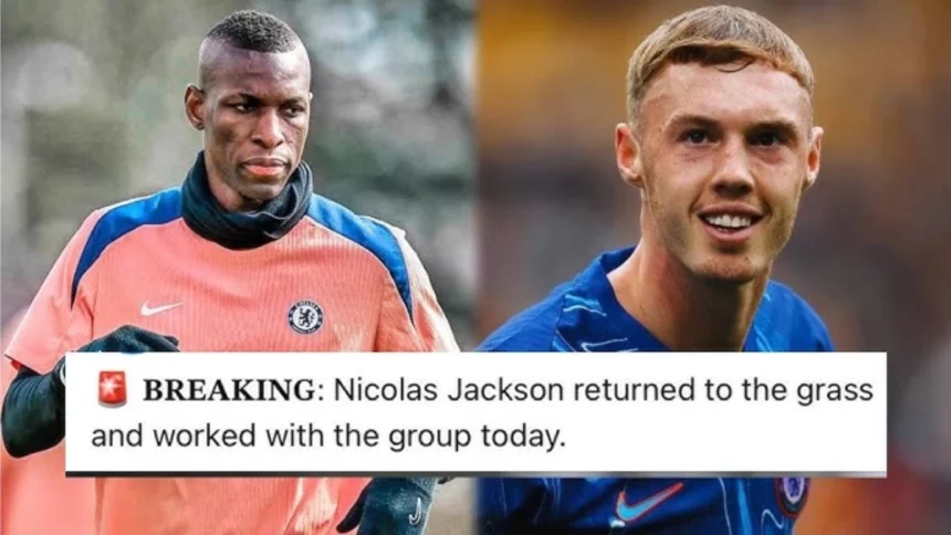 Great News For Enzo Maresca: Nicolas Jackson Returns To Training
