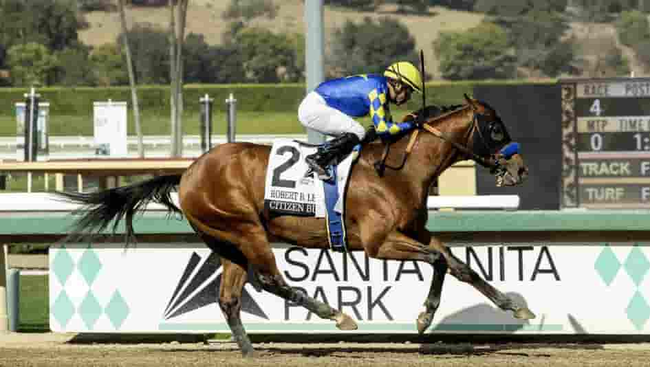Kentucky Derby 2025: List of Horses, Prize Money, Start Time