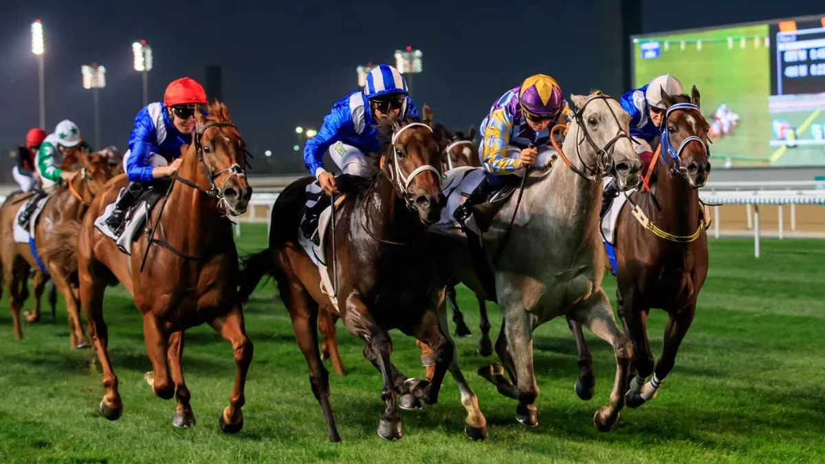 Racing, Fashion, And Entertainment: What to Expect At The Dubai World Cup 2025