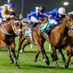 Racing, Fashion, And Entertainment: What to Expect At The Dubai World Cup 2025