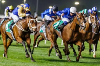 Racing, Fashion, And Entertainment: What to Expect At The Dubai World Cup 2025