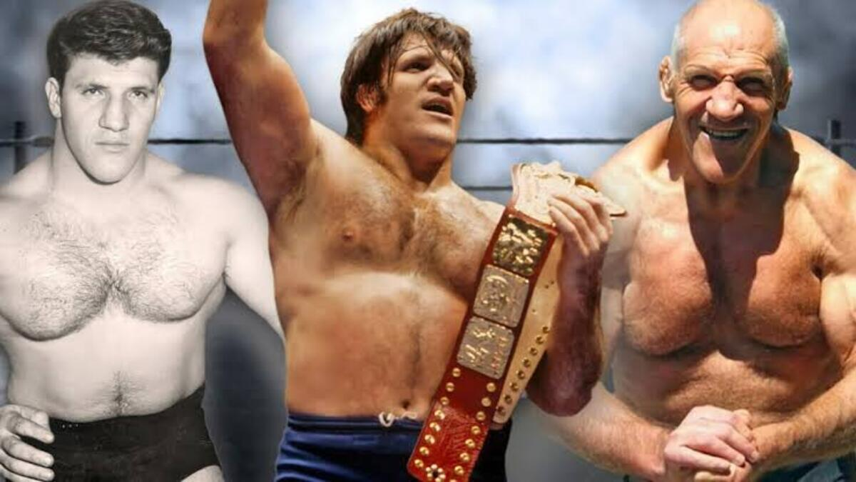 Top 4 Longest-Reigning WWE Champions