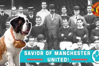 The Dog That Saved Manchester United: A True Underdog Story