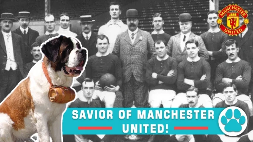 The Dog That Saved Manchester United: A True Underdog Story