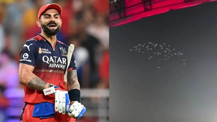 IPL 2025: A Poetic Farewell - White Pigeons Fly Over Chinnaswamy In Honor Of Virat Kohli