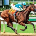 Assault And Justify: All Horses Who Won Triple Crown In US