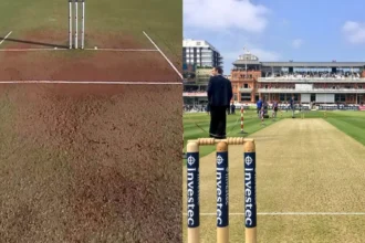 English Soil vs Indian Soil Comparison And Charateristics