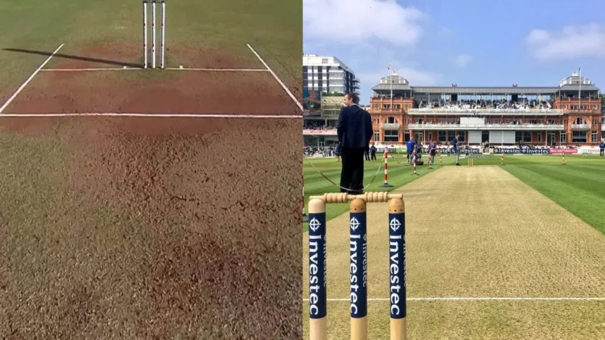 English Soil vs Indian Soil Comparison And Charateristics