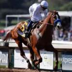 Tabasco Cat To Lemon Drop Kid: Winners At Belmont Stakes Horse Racing