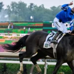 US Horse Racing: Sovereignty Rules, Top 10 Finishers At 2025 Belmont Stakes