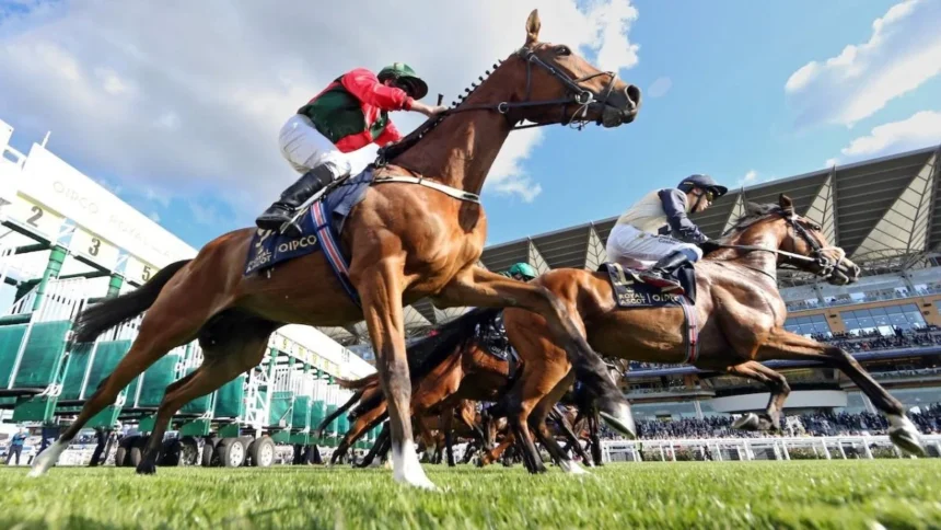 Royal Ascot 2025: Race-Wise Prize Money Breakdown