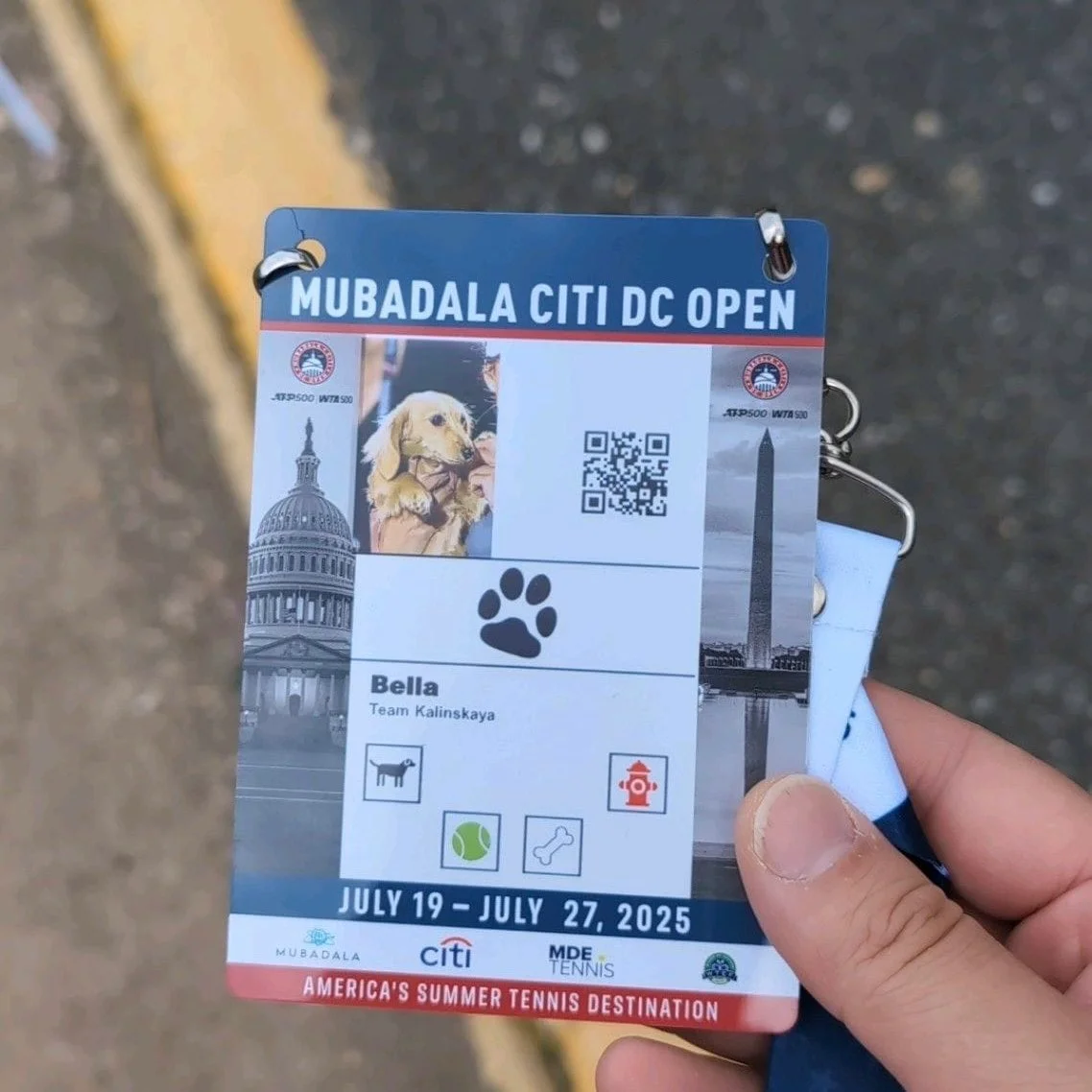 Who is Bella, The Dachshund Puppy With Her Own Credentials At DC Open 