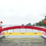 World Aquatics Championships Singapore: Swimming Event Postponed