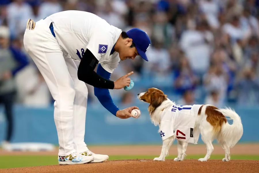 MLB Star Shohei Ohtani Turns Author With A Book On His Dog Decoy