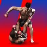 What Are The Most Popular Combat Sports To Bet On At Online Sportsbooks?