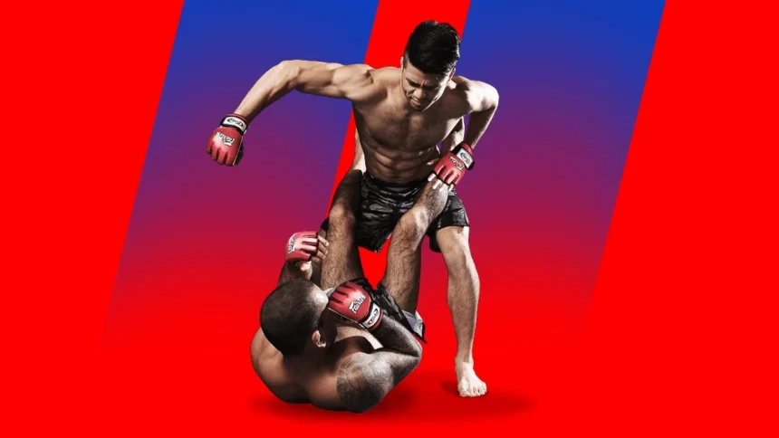What Are The Most Popular Combat Sports To Bet On At Online Sportsbooks?