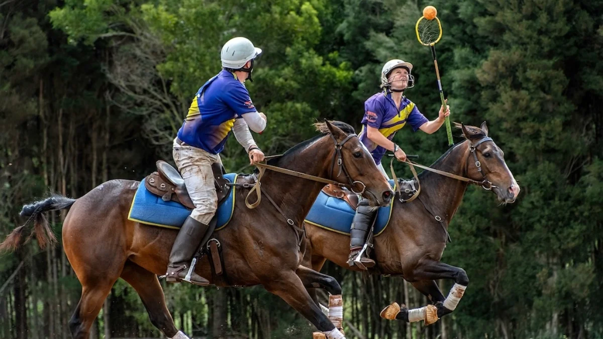 Two-In-One: Top 4 Emerging Hybrid Sports