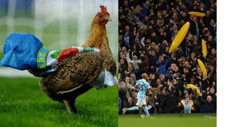 10 Craziest Things Ultras Have Done In Football