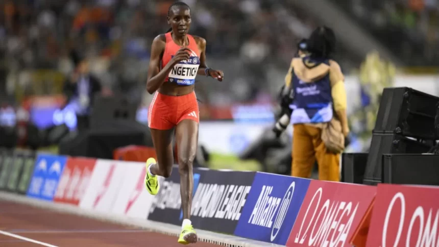 How Athletes Fared At Brussels Diamond League: Top Highlights