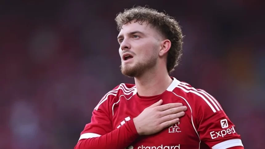 Top 7 Youngest Premier League Debutants Of All Time