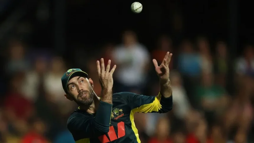 Watch: Glenn Maxwell Catch In AUS vs SA Dismissing Rickleton