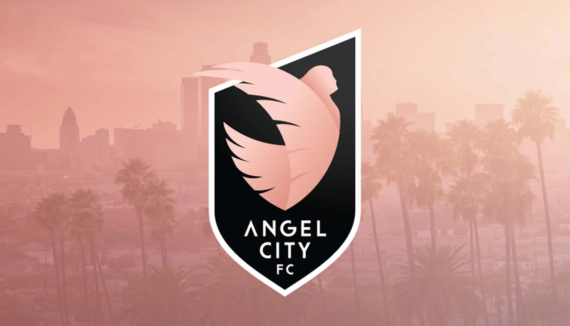 Angel City - Sports Franchises