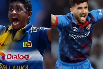 Top 4 Bowlers With Most Wickets in a Single ICC Men’s T20 World Cup Edition