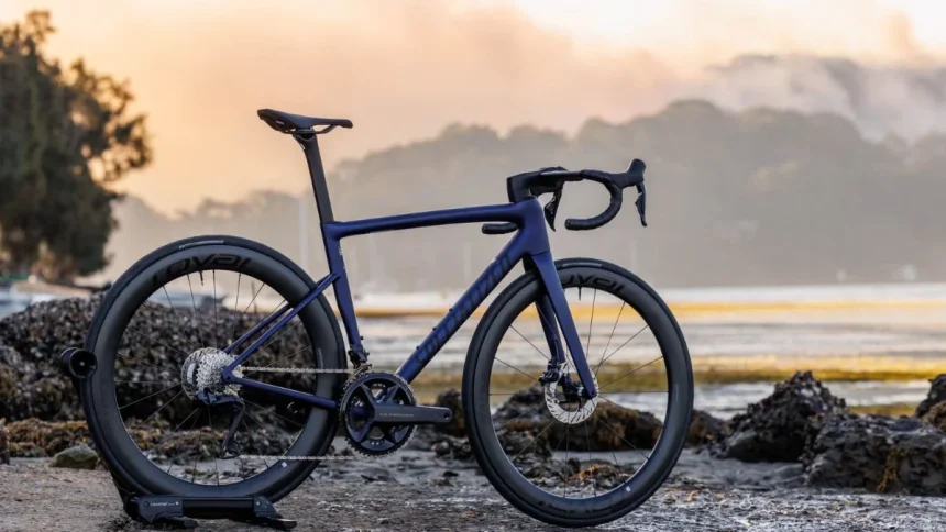 Top 6 Best Bicycles For Riders In The World