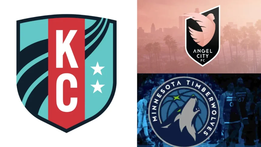 Sports Franchises