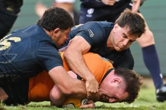 The Rugby Championship 2025: Australia Vs Argentina Preview