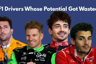 Top 4 F1 Drivers Whose Potential Got Wasted