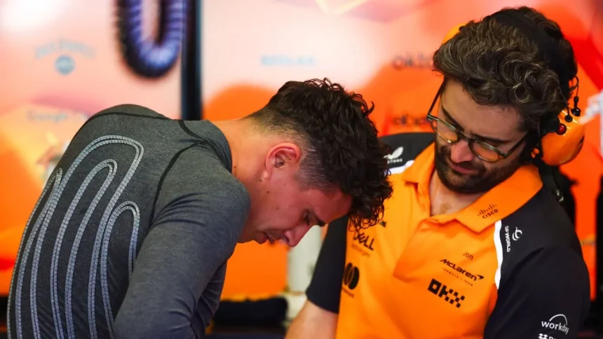 What Is An F1 Heat Hazard And What Happens In It? Answered