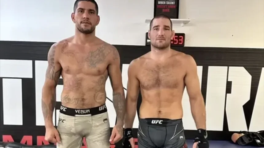 Sean Strickland Believes Alex Pereira Can Beat Jon Jones