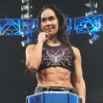 AJ Lee Joins Team Rhea Ripley For WarGames 2025