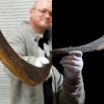 Top 4 Most Expensive Hockey Sticks Of All-Time