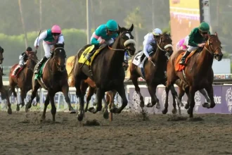 Legendary Horses