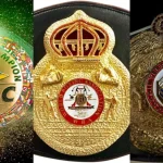 Top Boxing Federations and World Title Bodies
