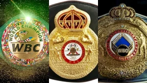 Top Boxing Federations and World Title Bodies