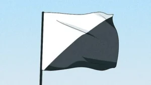 Black and white flag