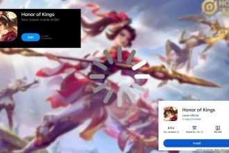 Honor Of Kings Lag Fix: Best Settings For Low Ping In India