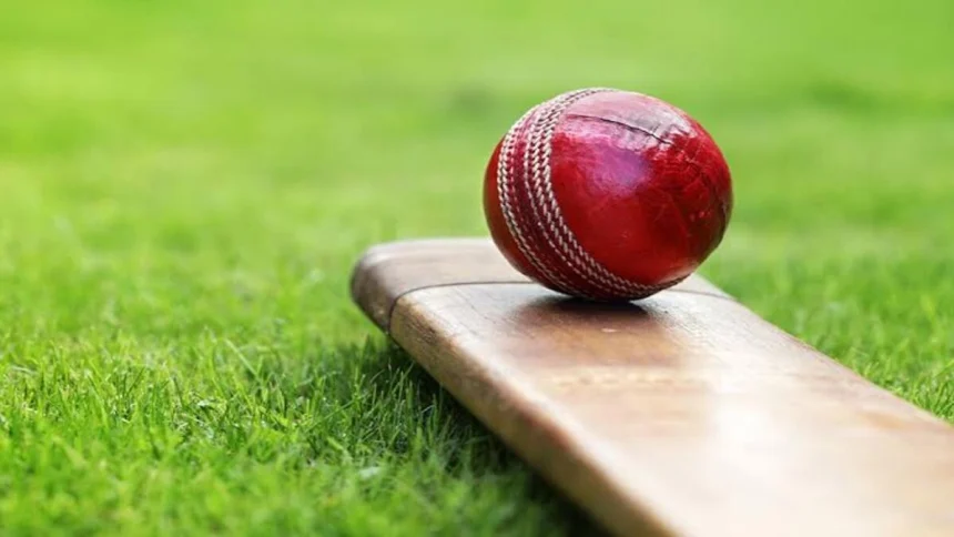 Women's ODI: Top 4 Female Bowlers With Best Bowling Figures