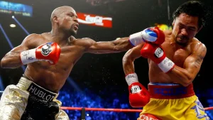 Boxing Weight Divisions