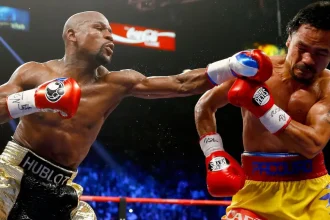 Boxing Weight Divisions
